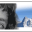 Lohnabrechnung Lohn 2024 6.82 Lohnabrechnung Lohn 2024 6.82 32x32 pixels icon